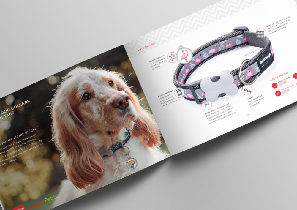 Brochure Design in Essex