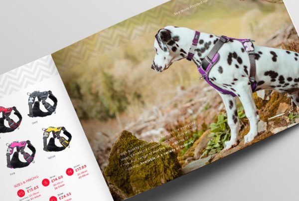 Retail Brochure Design Essex